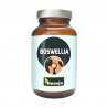 BOSWELLIA EKSTRAKT STANDARYZOWANY 65% HANOJU 400 MG 180 KAPSUŁEK