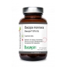 BACOPA MONNIERA BACOPIN® EKSTRAKT 50% EU 60 Kapsułek