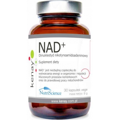 NAD+ dinukleotyd nikotynoamidoadeninowy (30 kapsułek vege)