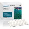 ADRENAL-INTERCELL® INTERCELL 120 KAPSUŁEK