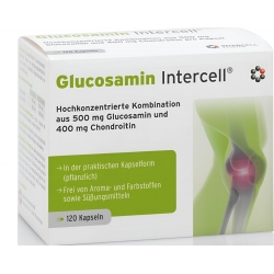 GLUCOSAMIN-INTERCELL®  GLUKOZAMINA - STAWY 120 KAPS