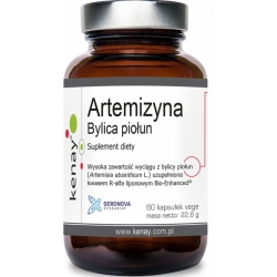 Artemizyna - Ekstrakt z liści Bylicy Piołun (Artemisia absinthium L.) 60 Kap sułek